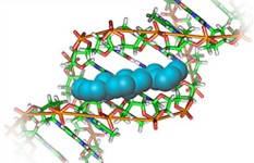 Bio-rad热销细胞活性检测产品介绍
