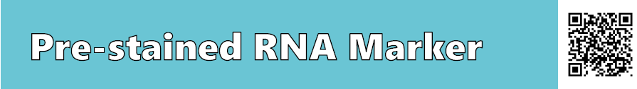 Funakoshi预染RNA marker
