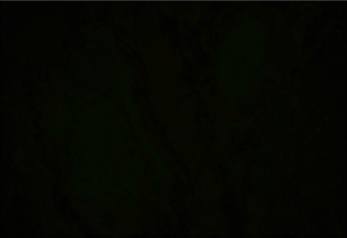 Vector® True VIEW™ Autofluorescence Quenching Kit