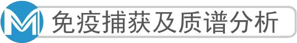 细胞焦亡