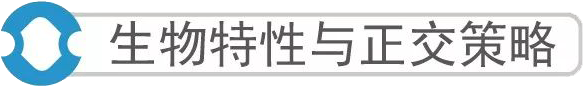 细胞焦亡