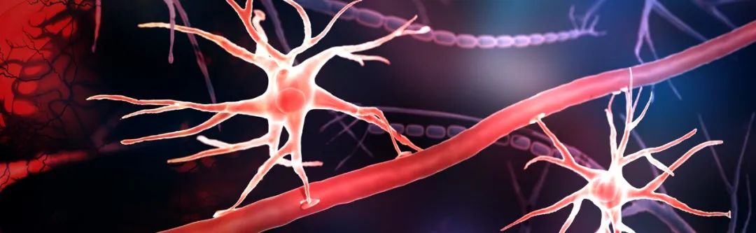 GFAP：星形胶质细胞活化标志物和新兴血清生物标志物