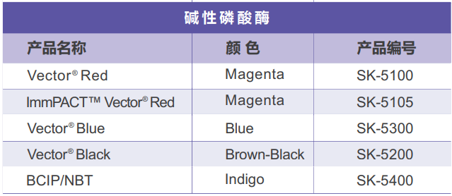 免疫组化全⾯解决⽅案