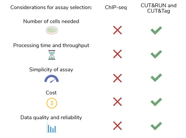 从ChIP-seq到CUT&RUN和CUT&Taq，哪种染色质分析法更适用您的实验？